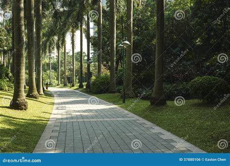 Park trails stock photo. Image of quiet, leisure, plant - 37880106