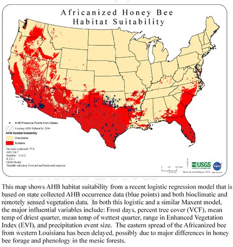 Africanized Honey Bees (AHB) - Adkins Bee Removal | Honey bee habitat, Bee, Africanized bees