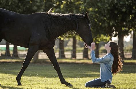 Black Beauty Review: Disney+ Movie Leans Into the Horse Girl Tropes ...