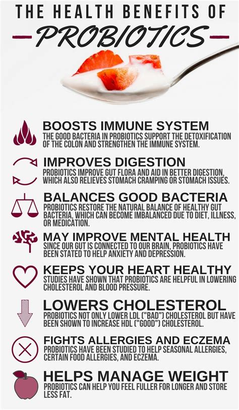 The Health Benefits of Probiotics - Parsnips and Pastries