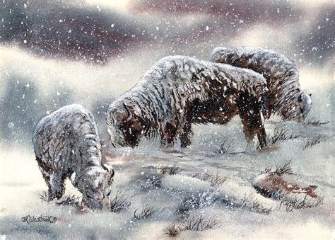 Buffalo In Snow Painting by Jill Westbrook