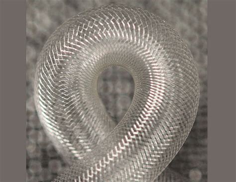 Self-expanding bioabsorbable flow-diverting stent shows a favourable ...