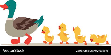 Duck and ducklings cute baby ducks walking Vector Image