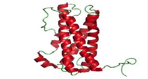 Prolactin: A Novel Therapy for Multiple Sclerosis?