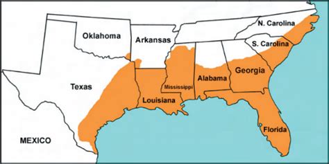 American Alligator Habitat Map