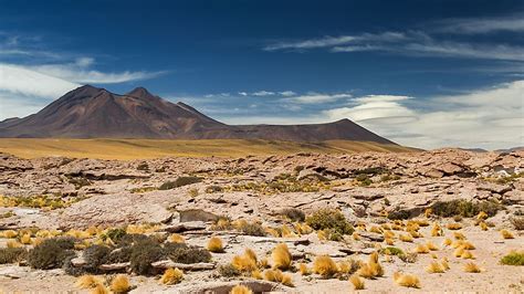 What And Where Are Coastal Deserts? - WorldAtlas.com