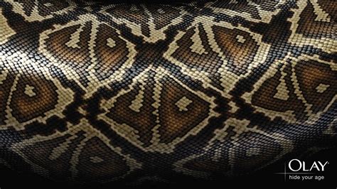 Amazing Snake Skin Desktop Backgrounds | All About Snake World - Snake ...