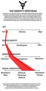 My Gender & Sexuality identity spectrum chart | I've complet… | Flickr