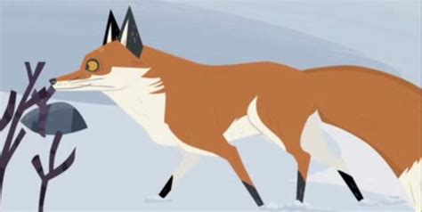 Pin by Henri Ouellet on What does the FOX say? in 2021 | Wild kratts, African wild dog, Maned wolf