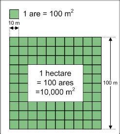 Hectare (ha) - Math Definitions - Letter H