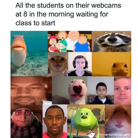 Meeting Zoom Class Meme