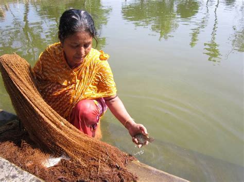 Empowering the role of women aquaculture in the rural areas of ...