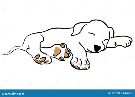 How To Draw A Sleeping Dog - Internaljapan9