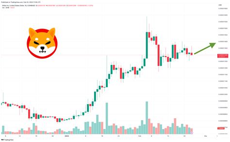 Shiba Inu Price Prediction as SHIB Sees $400 Million Trading Volume ...