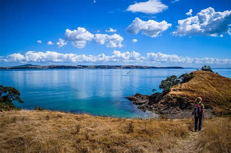 Hiking Your Own Trail on Waiheke Island