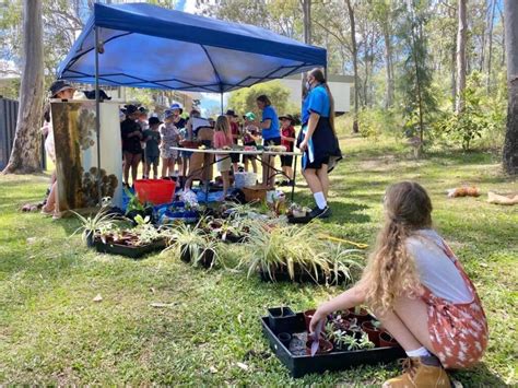 Cedar Creek SS EcoFest Fun! – Yarrabilba Bulletin