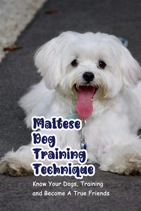 Maltese Dog Training Technique: Know Your Dogs, Training and Become A True Friends: Raise Your ...