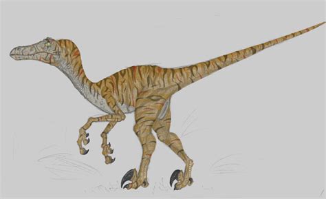 Jurassic Park Velociraptor by pokerpete on DeviantArt