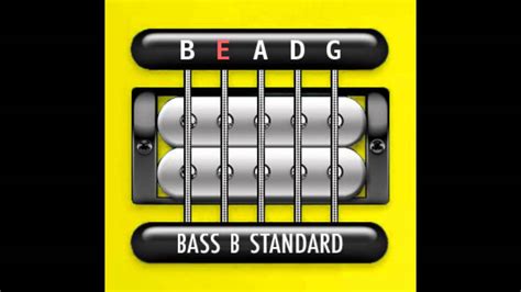 Perfect Guitar Tuner (Bass 5 String B Standard = B E A D G) - YouTube