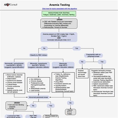 Anemia Flowchart