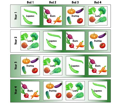 A Simple Method for Crop Rotation — Grow Sow Happy