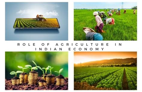 Role Of Agriculture In Indian Economy 2023 - Know All Facts