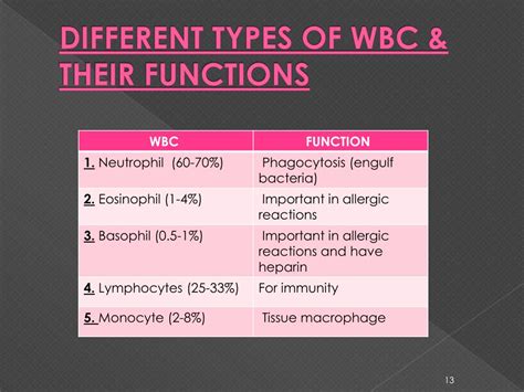 Types Of Wbc And Their Functions