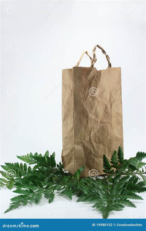 Brown Crumpled paper Bag stock photo. Image of environment - 19980152