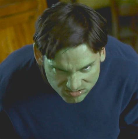 17 Best images about Incredible Hulk - AKA Bruce Banner AKA Eric Bana ...