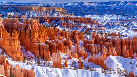 Hoodoos in winter, Bryce Canyon National Park, Utah, USA | Windows ...