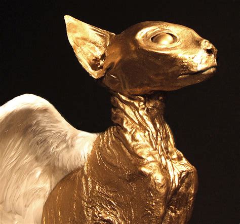 TAXIDERMY ART | THE GOLDEN AGE