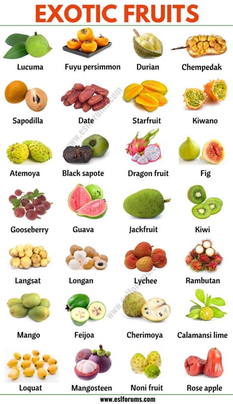 Exotic Fruits: List of 75+ Exotic Fruits From All Around the World - ESL Forums