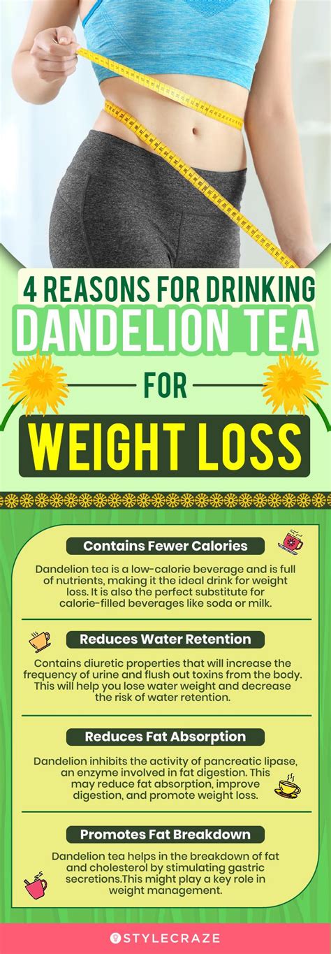 Dandelion Root Uses Benefits