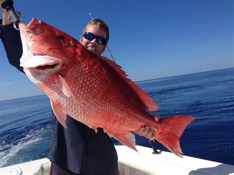 Top Tips on Catching Florida Red Snapper Easy and Painless