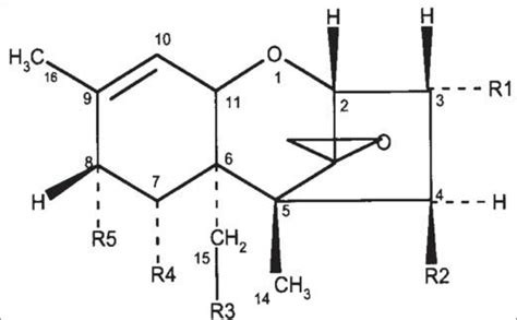 Structure générale des trichothécènes | Download Scientific Diagram