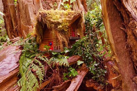 Fairy House at Milner Gardens | Shutterbug