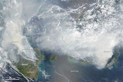 Peak Resources: Peatland Fires and Palm Oil