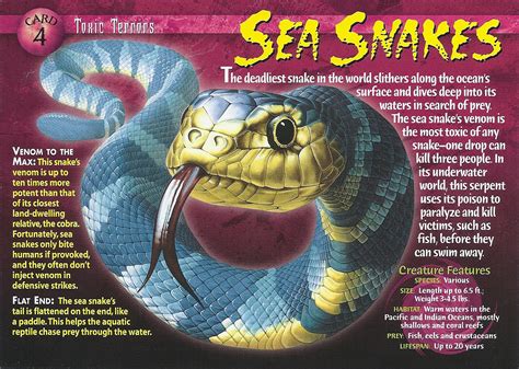 Sea Snake | Wierd N'wild Creatures Wiki | FANDOM powered by Wikia