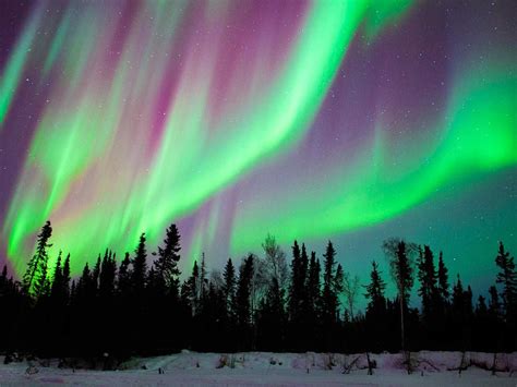 Yellowknife Northern Lights Tourism – Shelly Lighting