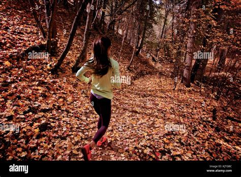 Trail running in the fall Stock Photo - Alamy