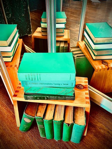 Books that are “Wearin’ of the Green”☘️ – Fictitiously Yours