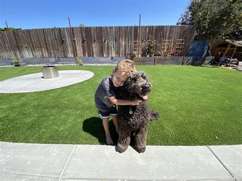 Artificial Pet Turf Installation San Diego | Pet Friendly Turf Installation San Diego | Install ...