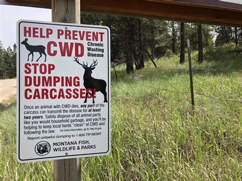 Chronic Wasting Disease - Montana Wildlife Federation