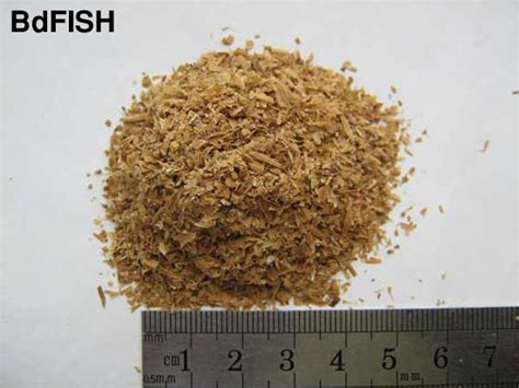 Plant Origin Fish Feed Ingredients | BdFISH Feature