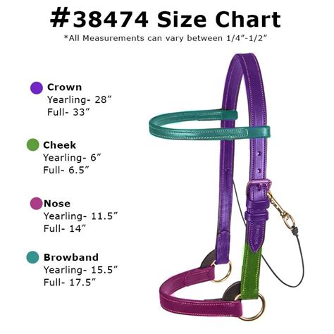 Victor Supreme Arabian Training Halter with Browband | Schneiders