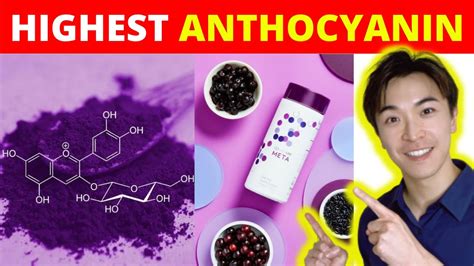 What food has the most anthocyanins? anthocyanin health benefits - YouTube