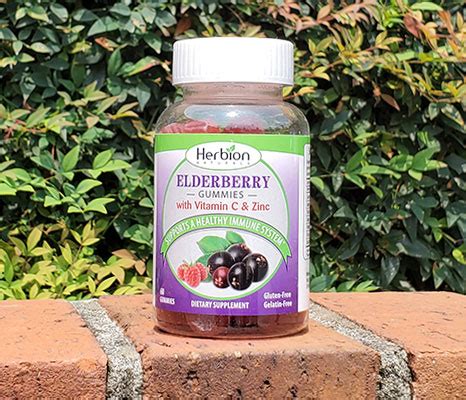 Elderberry Gummies – The Herb Shop of Vinings