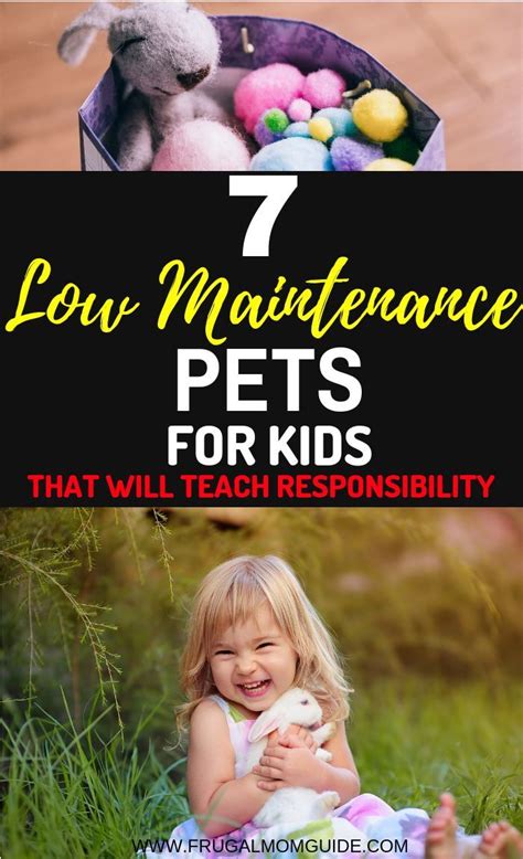 A list of Low Maintenance Pets for Kids that will teach responsibility ...