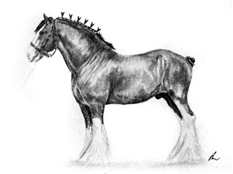 Horse drawings, Horse art drawing, Horse sketch