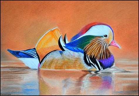 Mandarin duck by Verenique on DeviantArt